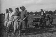 Výstava Z fotoarchivu NZM - Lidé na poli - Národní zemědělské muzeum 